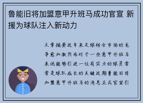 鲁能旧将加盟意甲升班马成功官宣 新援为球队注入新动力